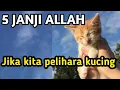 Download Lagu 5 JANJI ALLAH BAGI YANG SUKA PELIHARA KUCING, NOMER 5 MENGEJUTKAN,