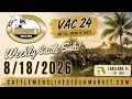 August 18 2026 Cattle Auction LIVE Cattlemen s Livestock Auction Market Lakeland FL