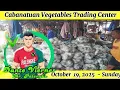 Lagu dahon ng sili at siling panigang angat na angat sa Cabanatuan Vegetables Trading Center