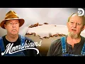Bugs Infest Mark Digger s Malted Grain Moonshiners