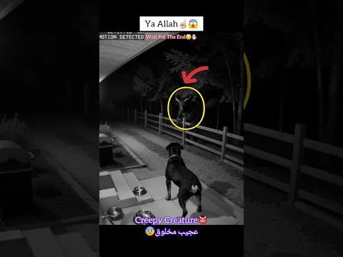 MashAllah ☝🏻😇 Greatest Video 😍 #allah #shorts #status #respect