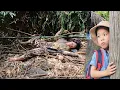 Lagu The boy's mother slipped and fell in the woods and the boy is still waiting for her to pick him up