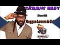 Tarrus Riley Mixtape Best of Reggae Lovers and Culture Mix by djeasy