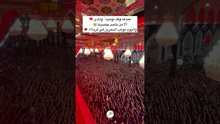 عزاء البحرين في كربلاء 1446 العتبة الحسينية لبيك يا حسين 