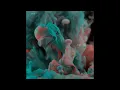 Download Lagu Åre:gone - Chasing Rabbits [ANA094]