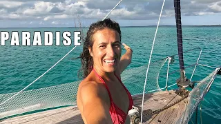 You SHOULD sail to CAT ISLAND [E329]