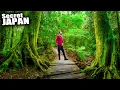 I Got Lost in Kyoto's Hidden Forest