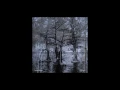 Nathan Bowles - Golden Floaters/Hog Jank" (Official Audio)