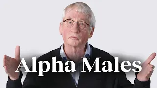 the alpha male myth debunked frans de waal