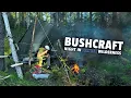 Download Lagu Alone in the Finnish Wilderness - No tent, just a tarp [BUSHCRAFT]