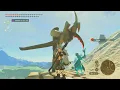 Discovery Ancient Tree Stump Cave Hyrule Field The Legend of Zelda Tears of the Kingdom