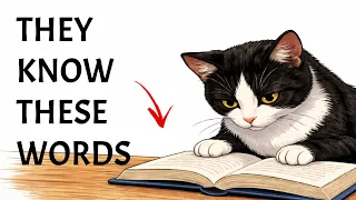 6 Words Your Cat Actually Understands (According to Science)