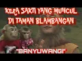 Download Lagu Tari Kethek | SANGGAR LANG LANG BUANA | karya SABAR H.