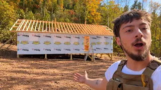 Building Off-Grid Homestead In The Woods Huge Progress