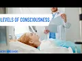 Levels of Consciousness Neuro Assessment