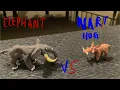 Elephant vs Warthog