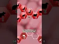 Here s Why Transmission SUCKS In Plague Inc