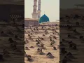 Download Lagu jannatul baqi kabristan #shorts #trending #viralshorts #trendingshorts #jannatulbaqi #madina