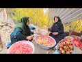 Lagu Soghra’s Adventure in the Zagros Mountains ⛰️✨ | Reunion with Her Sister \u0026 the Pomegranate Garden 🍎