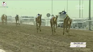 الشوط 24 إحتفال لـ عزيز بخيت سعيد المنصوري 9 3 10 مهرجان سمو أمير قطر 2022 3 23 ايذاع الشحانية 