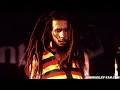 Bob Marley - Ambush in the night - Live Reggae Sunsplash 1979