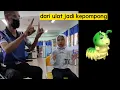Download Lagu Lagu Dari Ulat Jadi Kepompong dengan lirik dan Gaya gerakkan