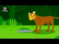 Did You See Cheetah’s Pattern? | Animal Songs | Learn Animals | Pinkfong Animal Songs for Children