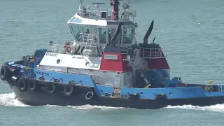                                                                   دندنها