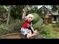 Download Lagu Baby monkey Kabi's journey back to his forest home!