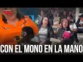 Lagu La cacharon con un Mono Araña: regidora de Movimiento Ciudadano se queda sin trabajo