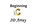 2D Array 1 Input Output