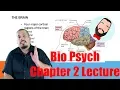 Biological Psychology Chapter 2 Lecture