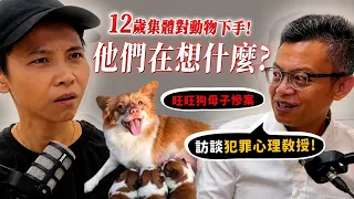 【簡芝】汪汪狗母子慘案，12歲集體對動物下手！他們在想什麼？訪談犯罪心理教授戴伸峰！【許伯簡芝】