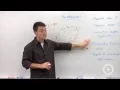 Parallelogram Properties