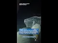 7-time convicted felon throws bag of drugs out window during Florida traffic stop deputies