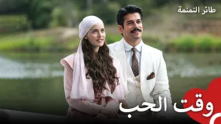 أنا محظوظة بالحب! | طائر النمنمة