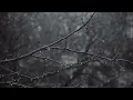 Driftwave · 2 Hours · Pink Noise for Sleep & Relaxation