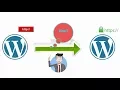 MOVING FROM HTTP TO HTTPS ON WORDPRESS