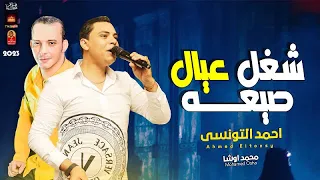 احمد التونسى   شغل عيال صيعه        باقوى طلعات اوشا مصر      دندنها
