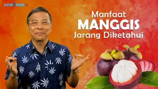 Download MANFAAT MANGGIS JARANG DIKETAHUI !! MP3