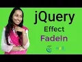 jQuery Basic Tutorial Bangla jQuery fadeIn effect