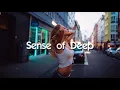Pete Bellis & Tommy - Treat Me Right (Nikko Culture Remix)