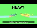 K MD 2 Comparing Objects