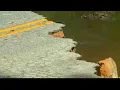 Road Washed Out in Darlington County