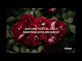 Por Qué Será   Alvaro Ricardo (Letra)