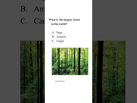 Quick questions and answers 2 #quick 