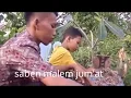 Download Lagu Story wa saben malem jum'at