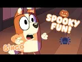 Download Lagu Spooky Fun With Bingo! 👻🎃 | Bingo - Official Channel