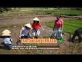 Download Lagu Tantangan Untuk Melaney, Vega, dan Mpok Alpa Membajak Sawah | FYP (11/07/25) Part 2