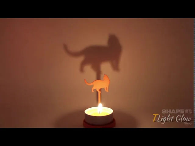 Anima Cat Walk video thumbnail